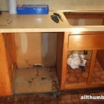 allthumbsdiy-images-appliances-dishwasher-removed-fl