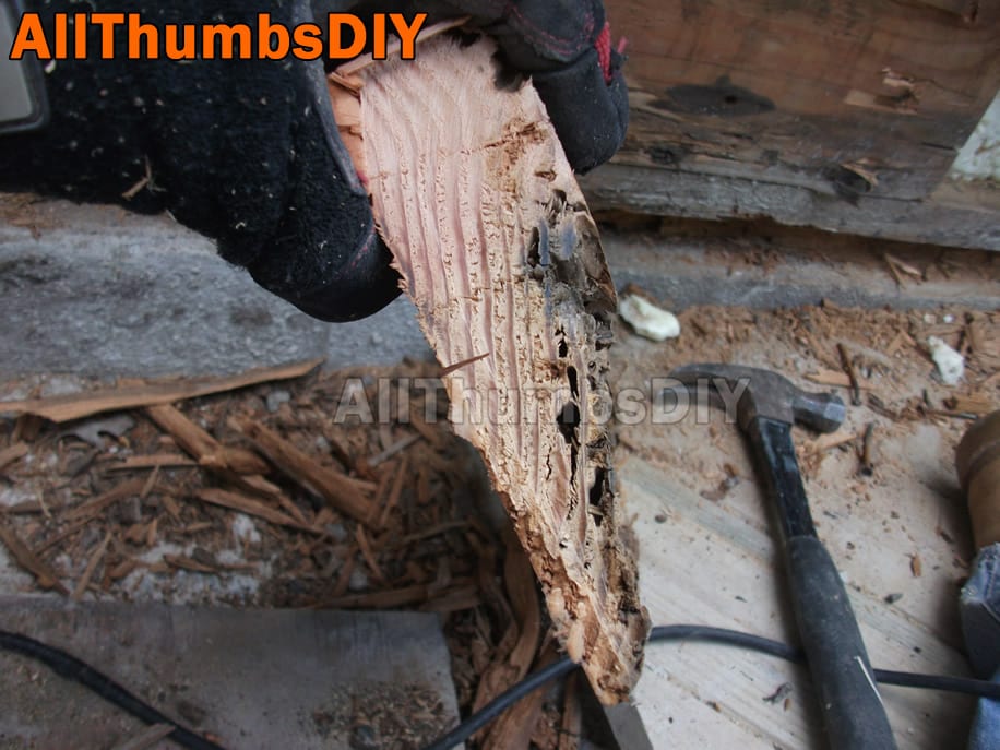 allthumbsdiy-images-rotted-rim-joist-sill-plates-226-closer-look-rotted-rim-joist-fl