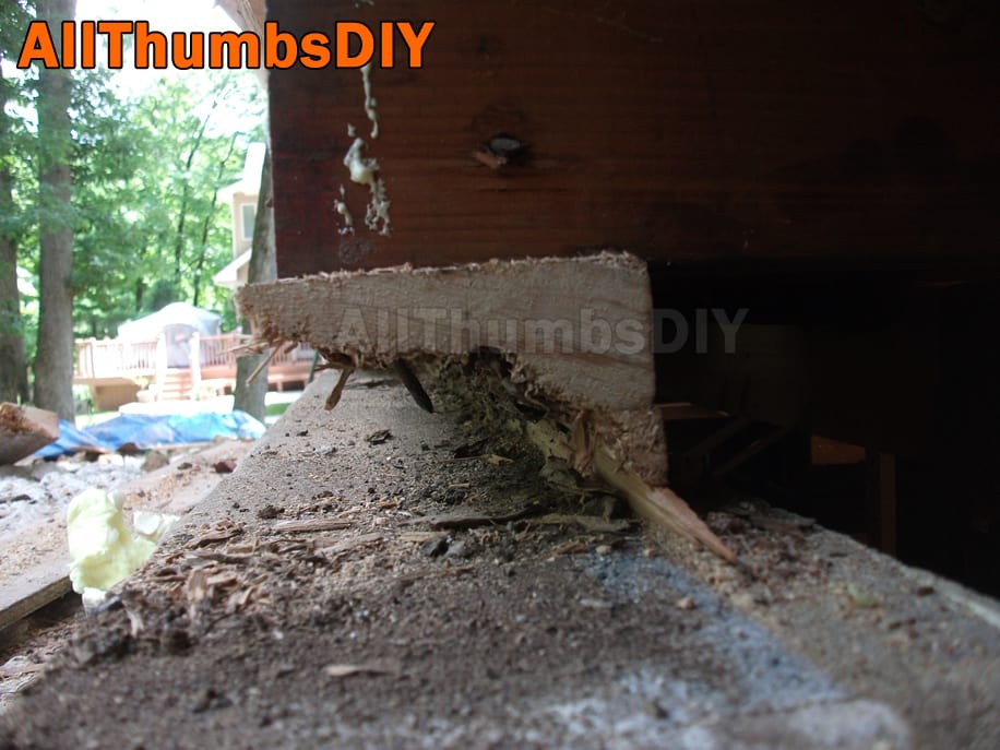 allthumbsdiy-images-rotted-rim-joist-sill-plates-62-closer-look-rotted-section-fl