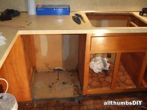 allthumbsdiy-images-appliances-dishwasher-removed-fl