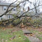 allthumbsdiy-images-hurricane-sandy-central-new-jersey-4