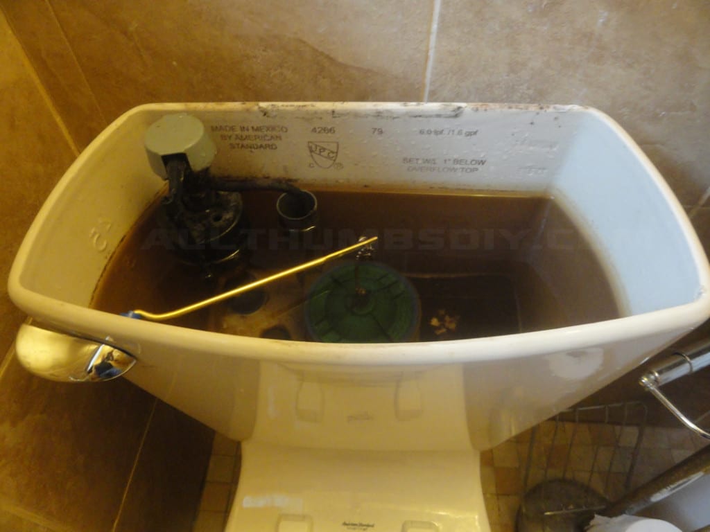 allthumbsdiy-plumbing-toilet-trip-lever-repair-new-part-i-fl
