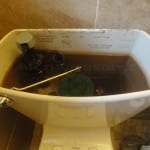 allthumbsdiy-plumbing-toilet-trip-lever-repair-new-part-i-fl