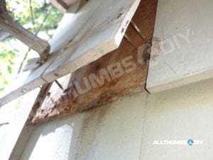 allthumbsdiy-woodpecker-problem-cedar-shingle-repairs-nail-removal-fl