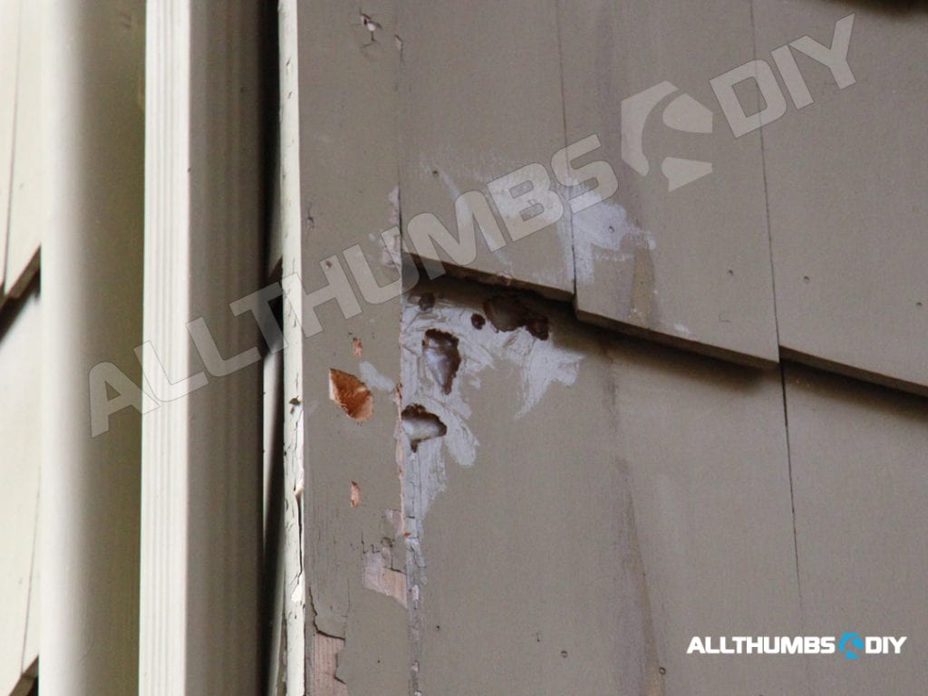 allthumbsdiy-woodpecker-damage-corner-trim-a0-fl